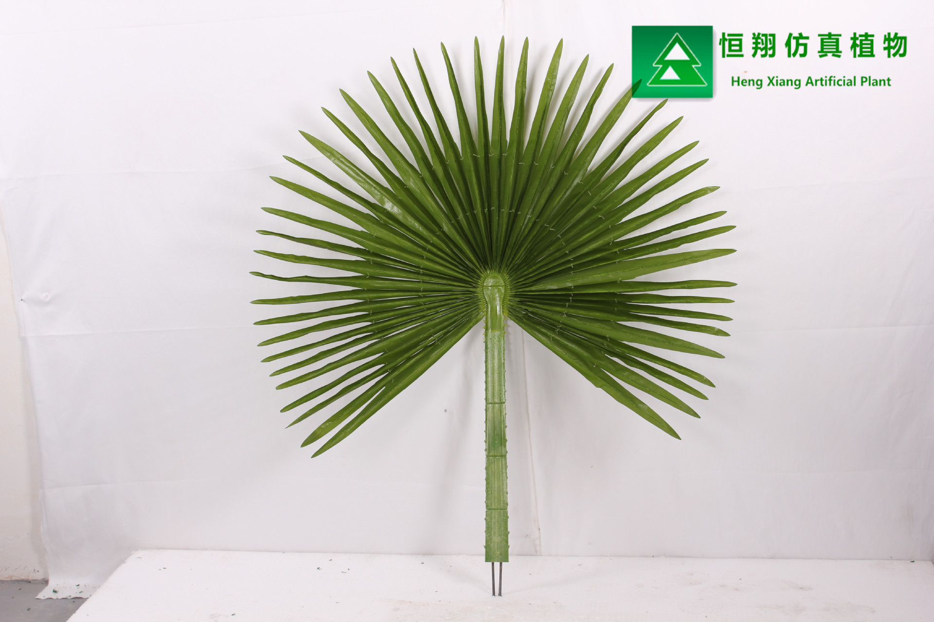 HX030303小号扇葵叶