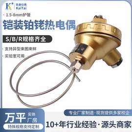 S型铠装铂铑热电偶WRPK-131  S型B型R型尺寸齐全耐高温国标偶丝