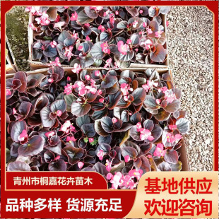 ���@�������ԾG���ļ��������� �������^������ �ļ����Ļ������l