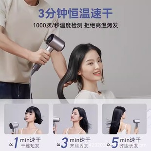 Daewoo Hd04 Temperature-Sensing High-Speed Hair Dryer with Negative Ions, Strong Wind, Low Noise, and Constant Temperature Hair Care