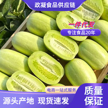 山东玉女黄瓜 代发3/5斤应季脆甜小黄瓜无刺生吃拇指黄瓜新鲜蔬菜
