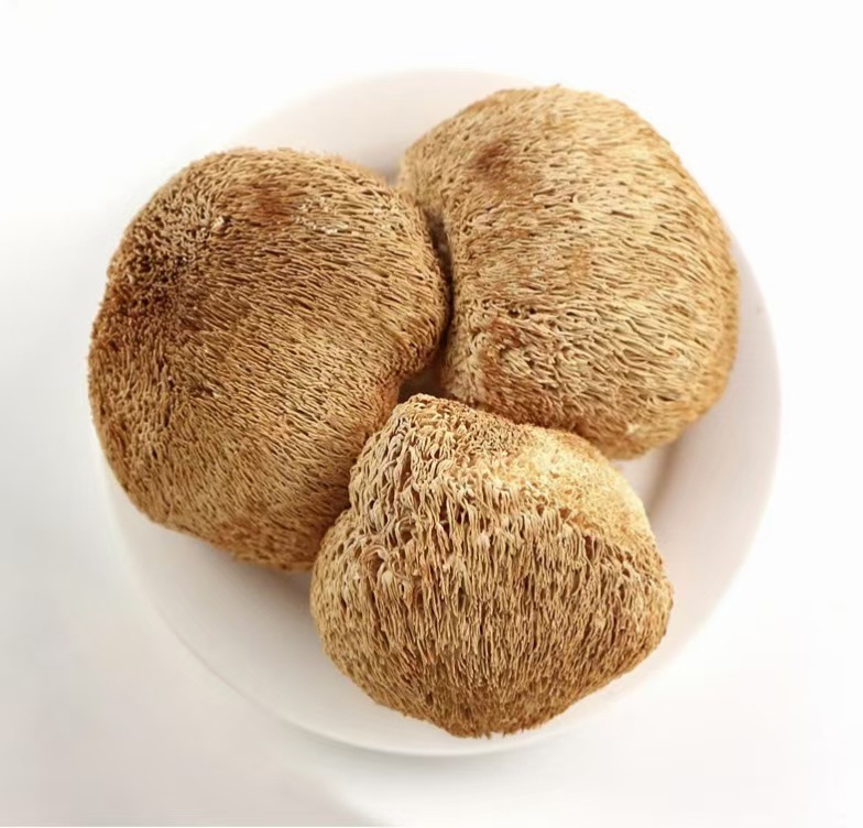 [인기 판매] 노루궁뎅이버섯 엄선 0.5kg (대형, 풀 사이즈)