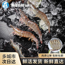 ���N�O�r�����r���r����r ���r�����r���r���r���r����ʳ�� 500g