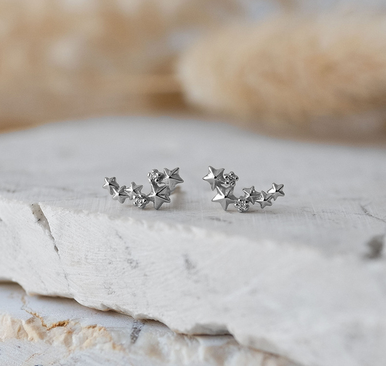 Ear Studs Classification 1 Pair 925 Sterling Silver Zircon 925 Sterling Silver Earrings Star Ear Studs