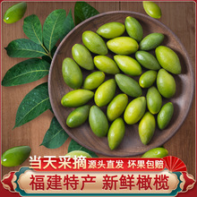�}�����r�ϙ�1000g���ϙ�a��ֱ�l2�������خa�}��̴���ϙ��ϙ��