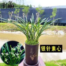 ؃r10 y _ ҃ԻܾGֲԶY