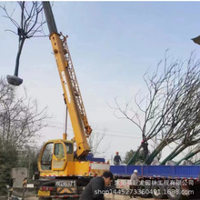 ���l��� �ϙ�乤�̾G����ľ �Sɽ���Ҏ���Rȫ �е���G��