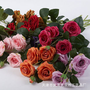 ����5�^�Nޱõ���֦���˹����������YƷ���仨�ٔ������^�����
