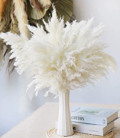 干花;鲜花花艺制品