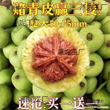 ���Ǫ{���^����y���ñ��Ƥ�������ـ��Ƥ���ܳ�����������̫��