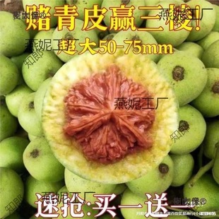 ���Ǫ{���^����y���ñ��Ƥ�������ـ��Ƥ���ܳ�����������̫��