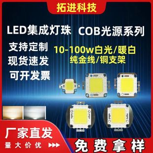 10W-100W大功率集成LED灯珠 投光灯工矿灯路灯白光暖白自然白冷白-阿里巴巴