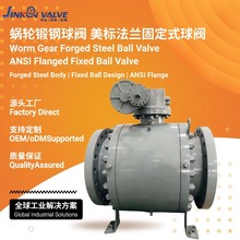 Q347F-300LB ΁݆�����y ���˷��m�̶�ʽ���y Դ�^�S�ҬF؛ֱ�N