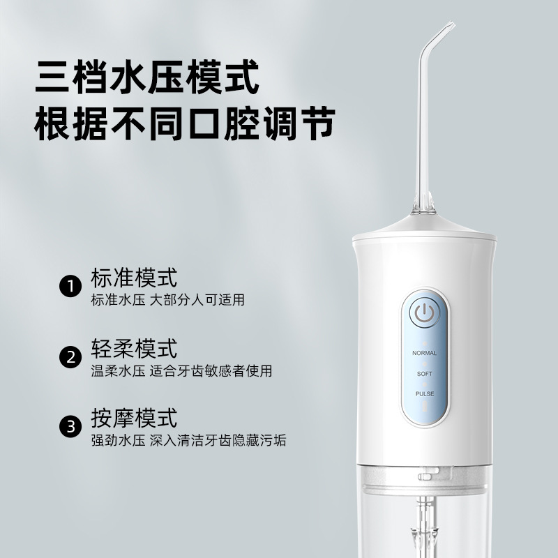 2025新款冲牙器便携式口腔清洁护理水牙线家用电动大水箱洗牙器|undefined