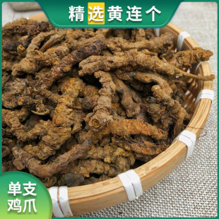 ��ɽԭ�a�S�B��ș��ζ�༃���o��500g��Ʒ�uצ�S�B�Ҝ���ˮ�ɰ��]