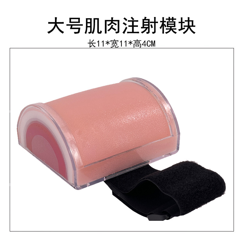 ����Ƥ�������ϰģ�� �轺Ƥ�� ע����ѵ��ҽѧ�����ϰ����