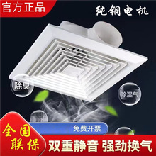 ��Ұ��Ӱʯ��弯�ɵ�픓Q���ȏN���l���g�컨���ʽ���L�ȏ����o