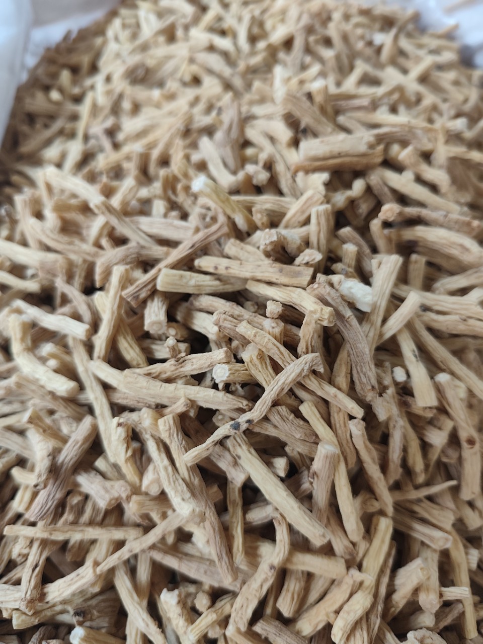Dried Codonopsis Root Segments Dang Shen 500g Bulk Loose Raw Herb for Tea and Soup in use