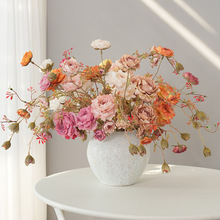 2025��Ʒ���S���l���滨��8�^�R��õ��ٻ��b[���b��羳