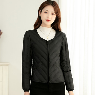 2025���¿���q���p����đŮ�ȴ��o�I������ů�����b�̿��������l