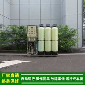 0.5t/hRO反渗透设备_面膜护肤品生产用DI去离子水机厂家绿健供应