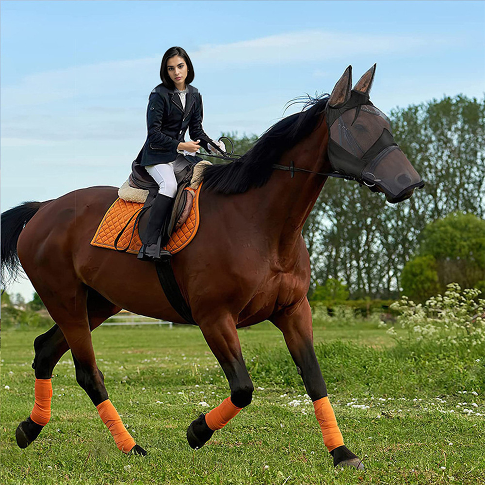 Cross-Border Factory Direct Supply of Equestrian Supplies, Saddle Sweat Pads, Sweat-Absorbent Equestrian Sweat Drawers, Comprehensive Obstacle Shock-Absorbing Horse Sweat Drawers