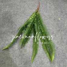 ����ާ�� ާ�~���滨 ާ�ݻ�c����Gֲɭϵ�����b�˹���Ų�