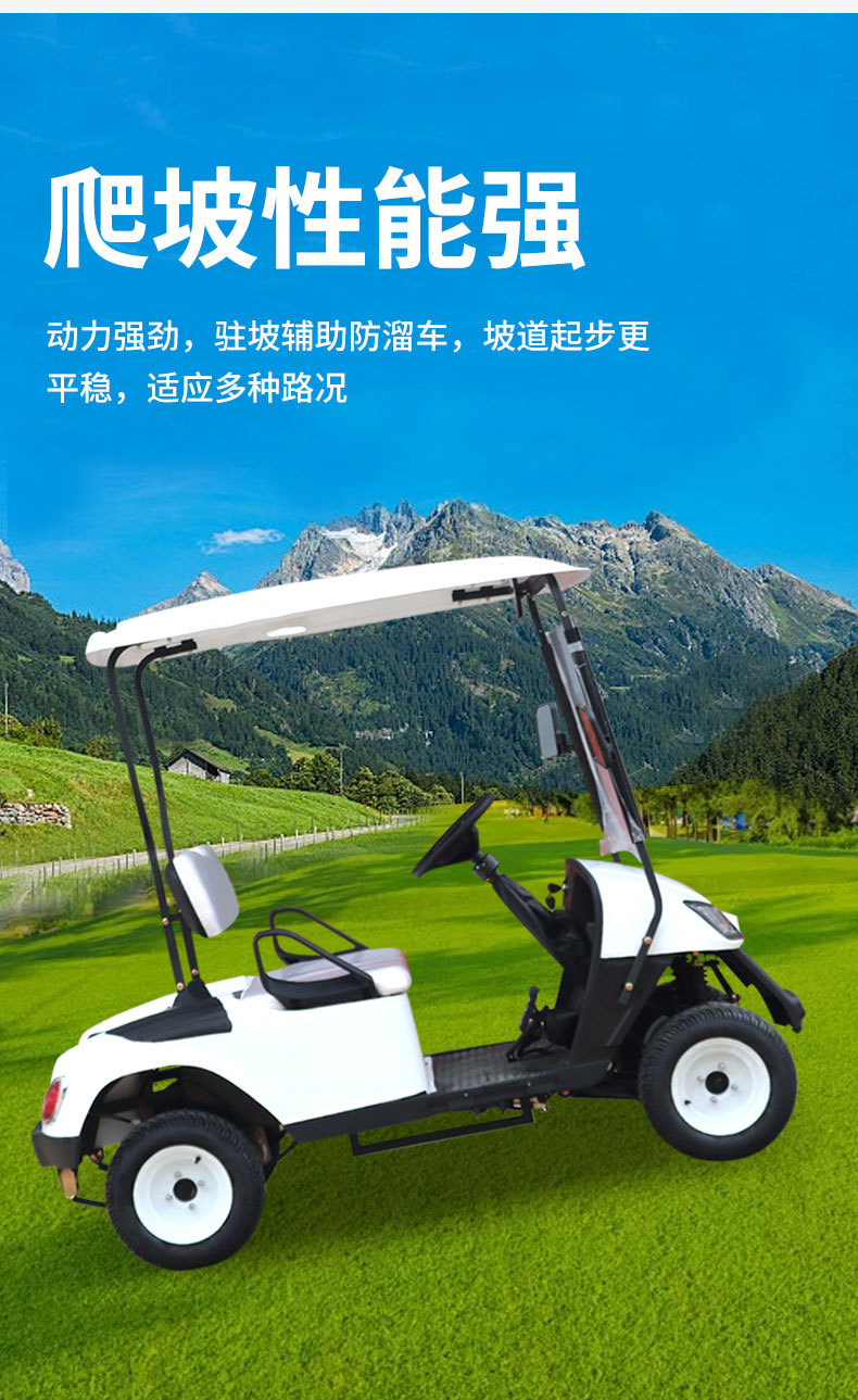 Electric Golf Cart for Foreign Trade Export, Tourist Attraction, 4-Seater, 6-Seater, Hotel Reception, Rv Golf Cart