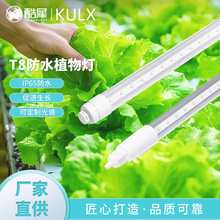 t8�҃ȷ�ˮȫ���Vֲ�����L�������������ֲ���ֲ���a�������