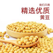 海天酱油生抽酱油.L炒菜火锅点蘸酿造酱油凉拌家用调味黄豆酿造厂