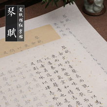 文征明楷书琴赋书法毛笔字帖初学入门临摹小楷描红字帖静心手抄帖