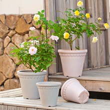 嘉伯瑞赫林盆仿白陶仿陶土仿水泥塑料浮雕种花郁金香百合种植花盆