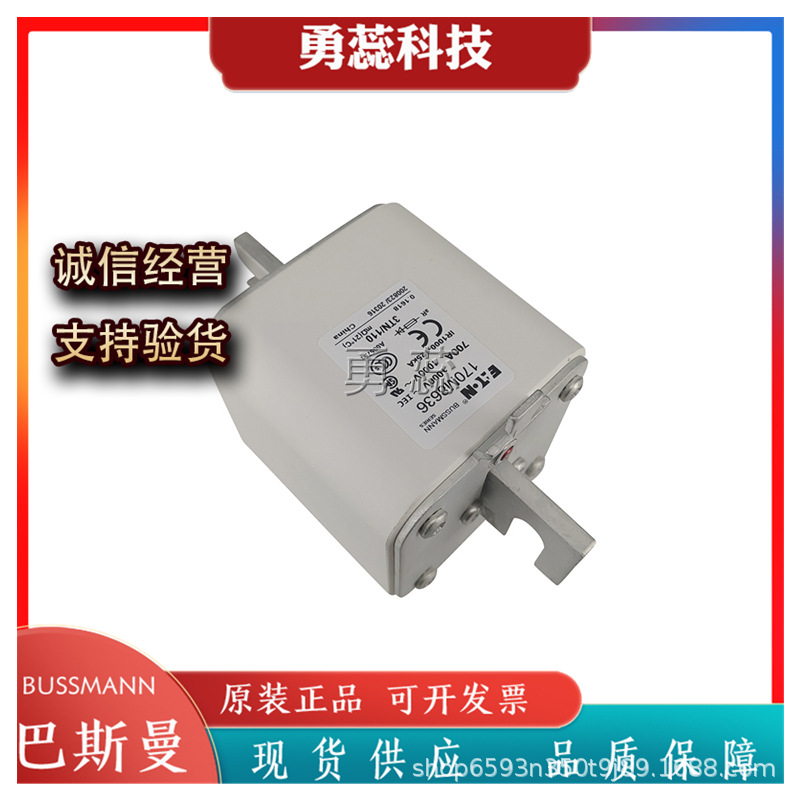 保险丝熔断器     170M6421     170M3458     170M3459