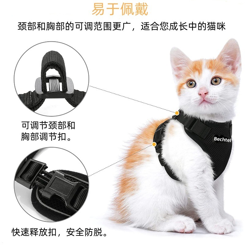 716Ez-rQ9lS._AC_SL1500__副本