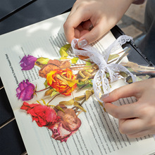 ���õ�һ�� ��ĩ����֮õ��s��ϵ�� ֲ���N����ߴ����~�b�6��