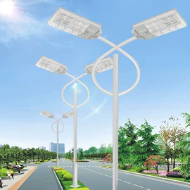 太阳能灯;庭院灯;路灯