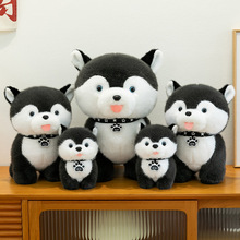 ƿͨʿëq˲޶̓ͯ˯Xż