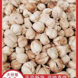 白蔻500g白扣白寇白豆蔻豆叩香料调料大全火锅烧肉卤菜调料调味料