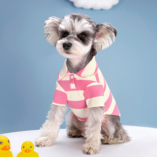�¿�ﹷ�����ļ�POLO���g�l��ط��I����T��؈��͸��l�y�·�