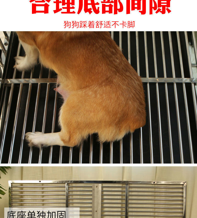cd632332-f0b6-46af-a5c7-70c2f483765e.jpe