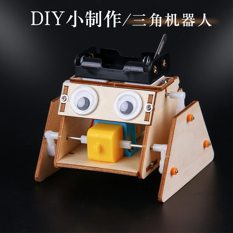 国境を越えて人気の科学教育知育玩具、木製花の手作りDIY小物製作キット、子供向け模型玩具材料パック
