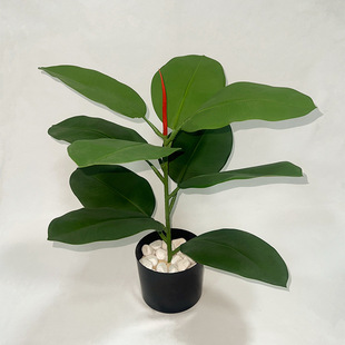 B1����ȼ����ֲ�� �Gֲ��������~ �����쾰�Gֲ���b٘��~