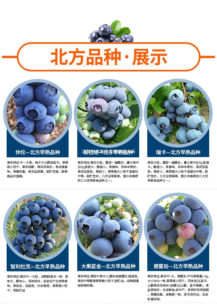 gm6WifKnzdTvlDvQUnbSc5pmMbznfXvOSkxe