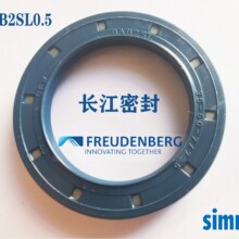 ��SIMRIT�Ƶ�CFW�M�ڹǼ��ͷ�BAB2SL 30-42-7-7.5