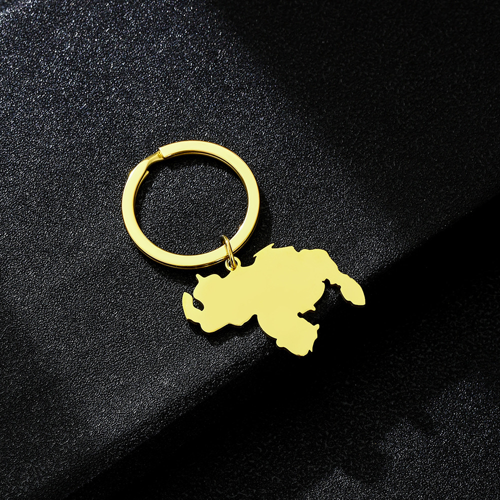 13g Weight Keychain Classification 201 Stainless Steel Material Map Pattern Simple Style Map Titanium Steel Unisex Keychain 4
