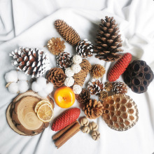 lɹɻ}QbֹDIYϰĔzȻ}QE18