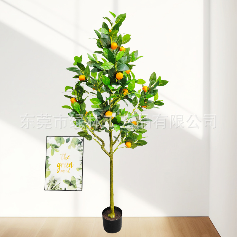 mmexport1691989802494_batch_1_