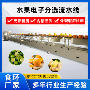 蜜柚沃柑柠檬水果分级机青柠智能光电分选系统水果电子分选流水线 阿里巴巴 