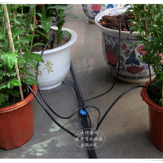 4 flecha curva de garra de cuatro vías flecha de goteo curva + una sola púta árboles frutales en maceta de pared de plantas de riego por goteo conjunto de espada de goteo directo