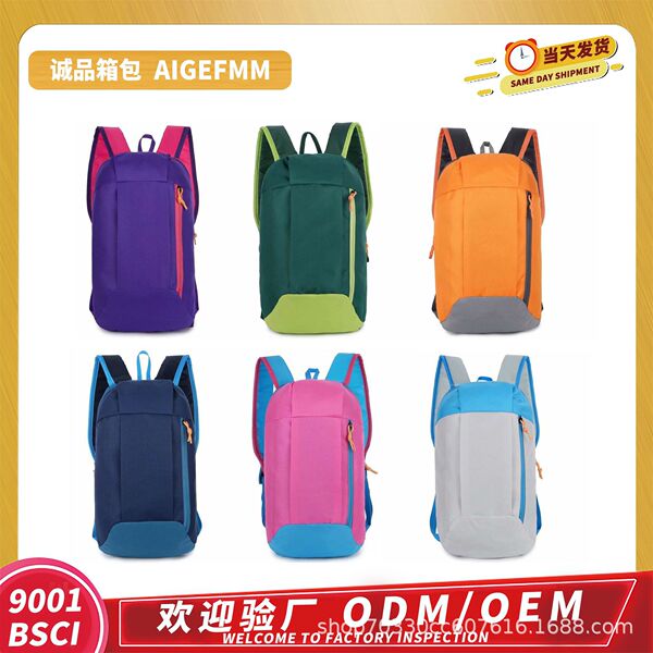 travel backpack